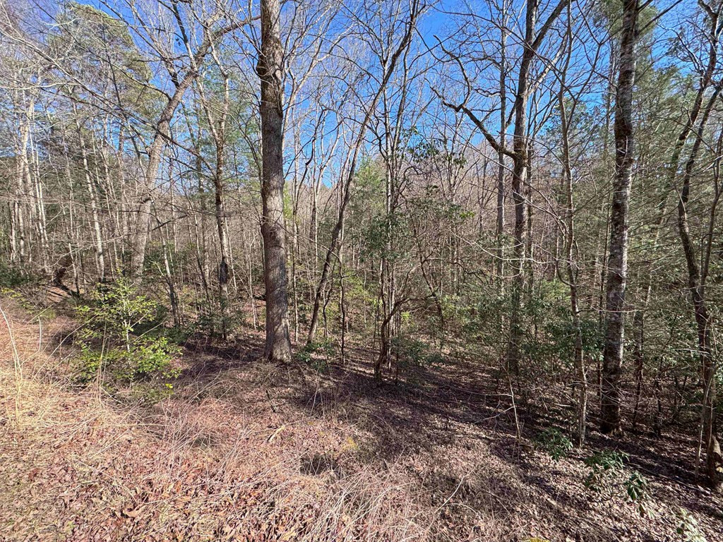 Exterior photo of LOT 34B Snowbird Trail, Marble, NC 28905. MLS: 98543230