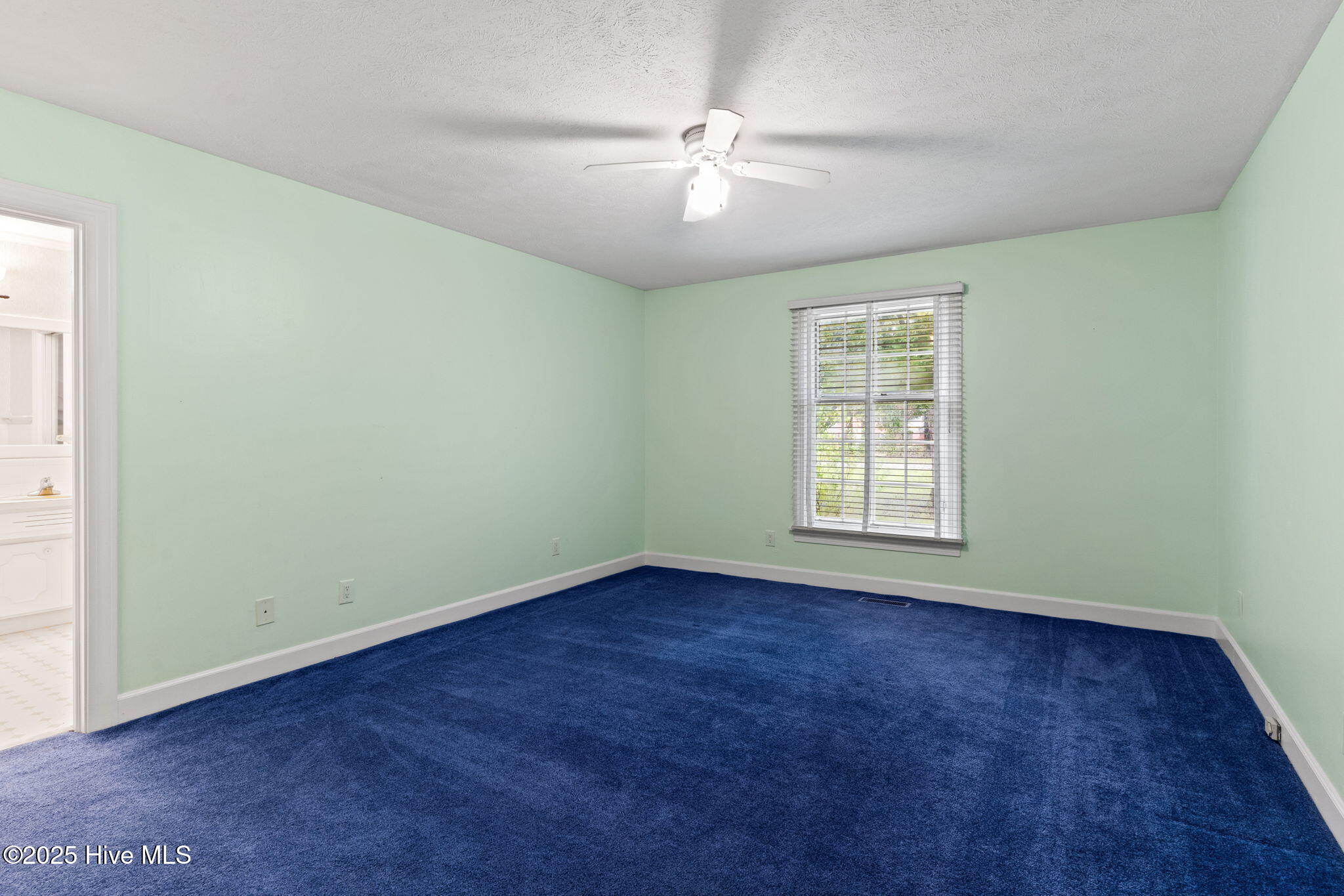 100526462 | Photo 38