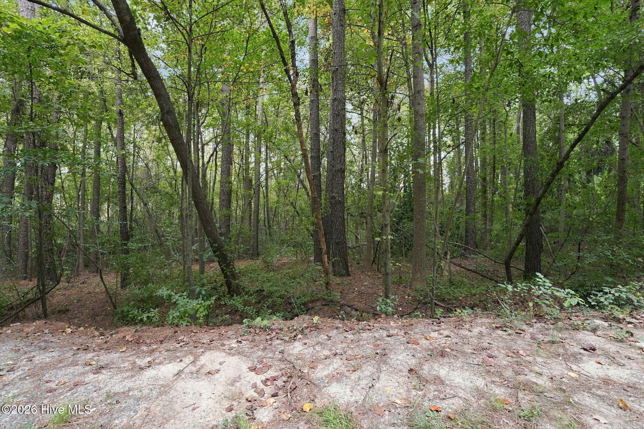 Land for sale at 134 Bellhaven Dr, Carthage, NC 28327 | MLS# 100608306