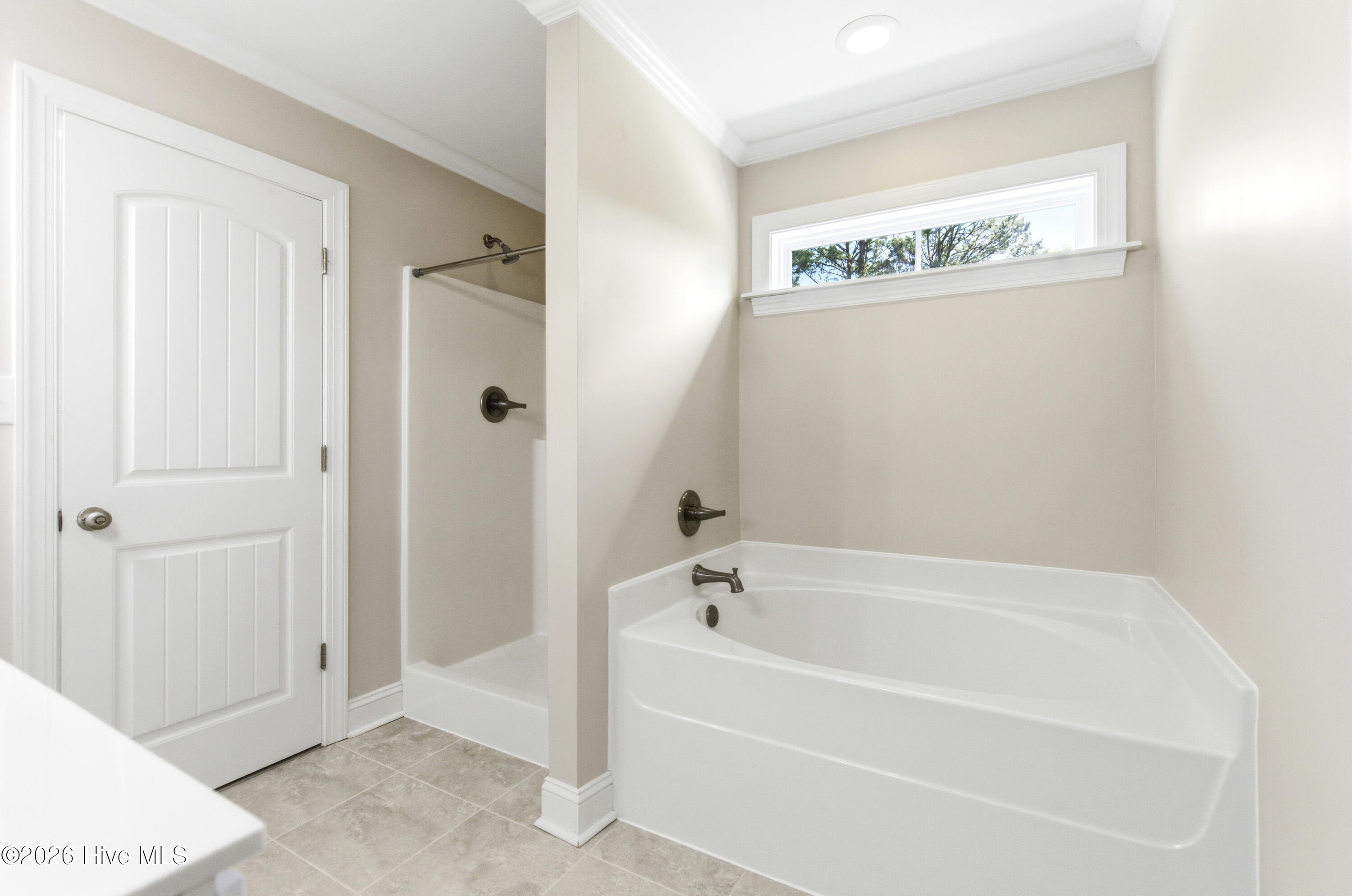 100566364 | Photo 34