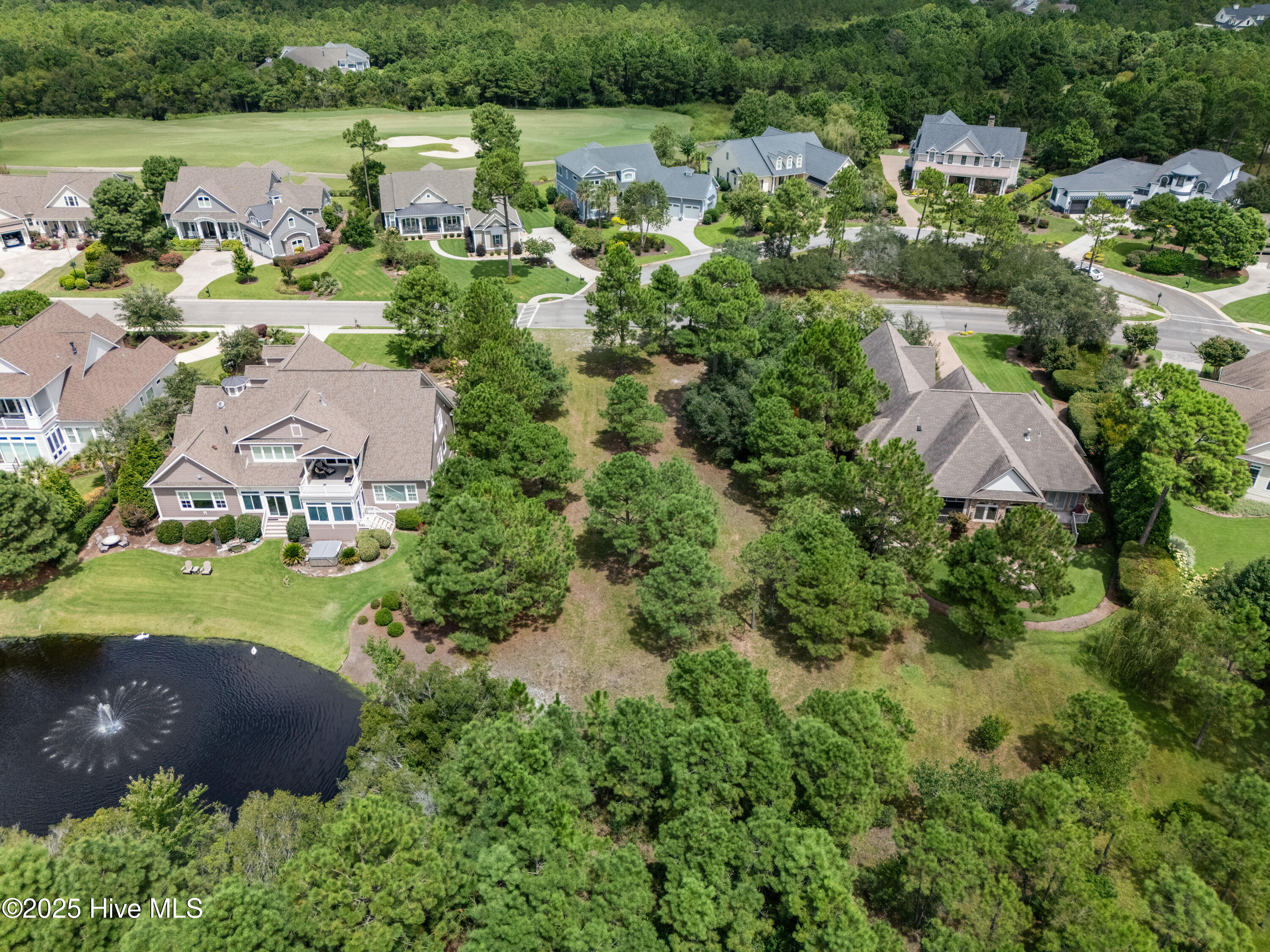 100569790 | Photo 21