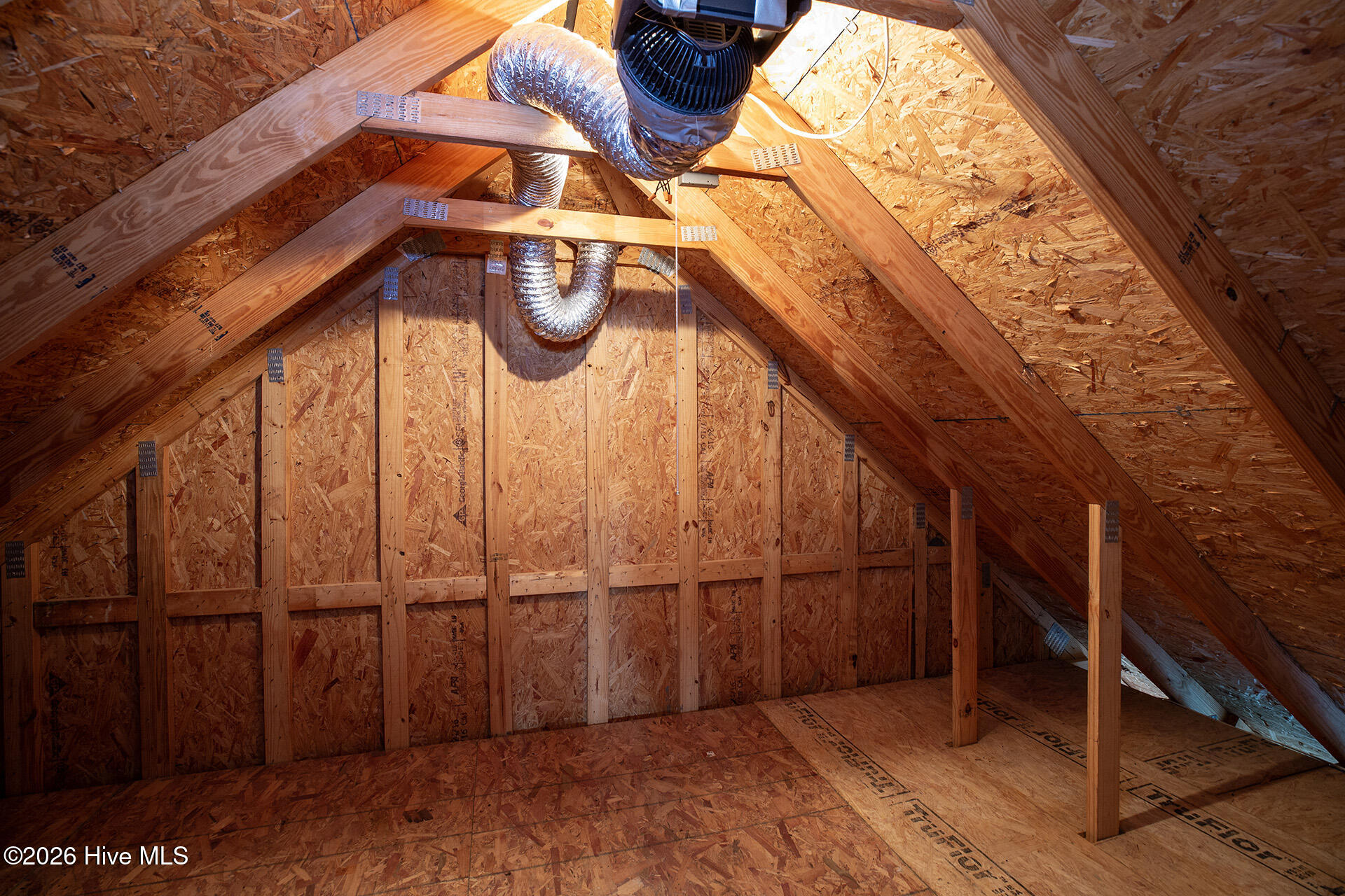 100558971 | Photo 38