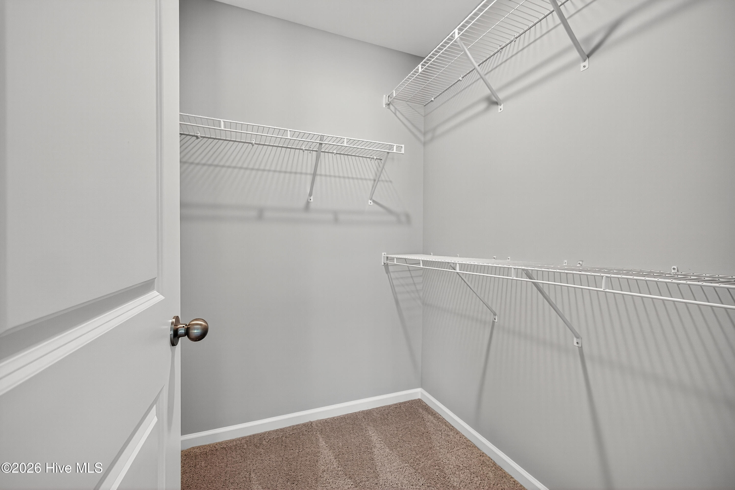 100565447 | Photo 10