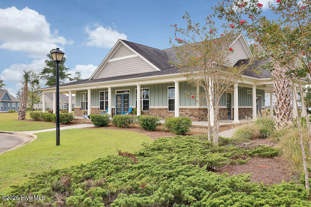 100554115 | Photo 34