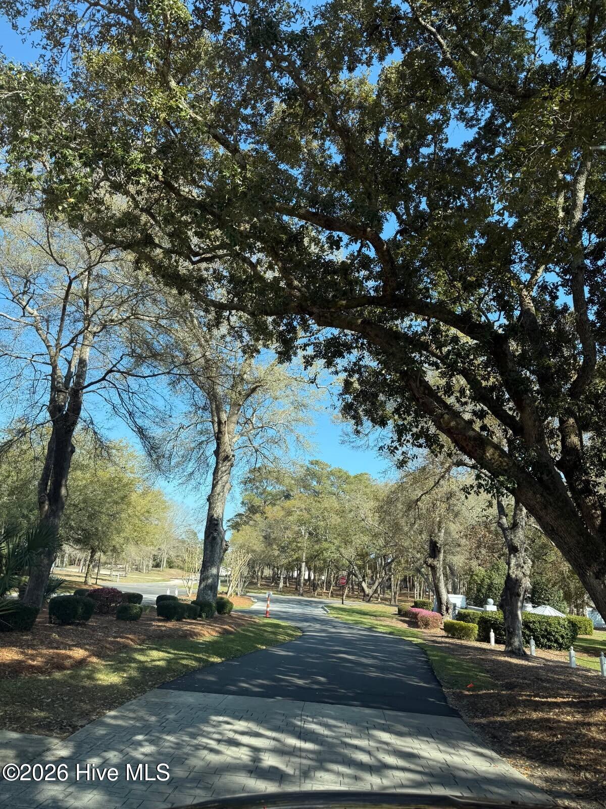 100562594 | Photo 17