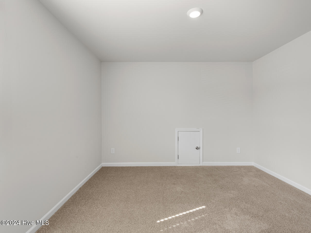 100536784 | Photo 33