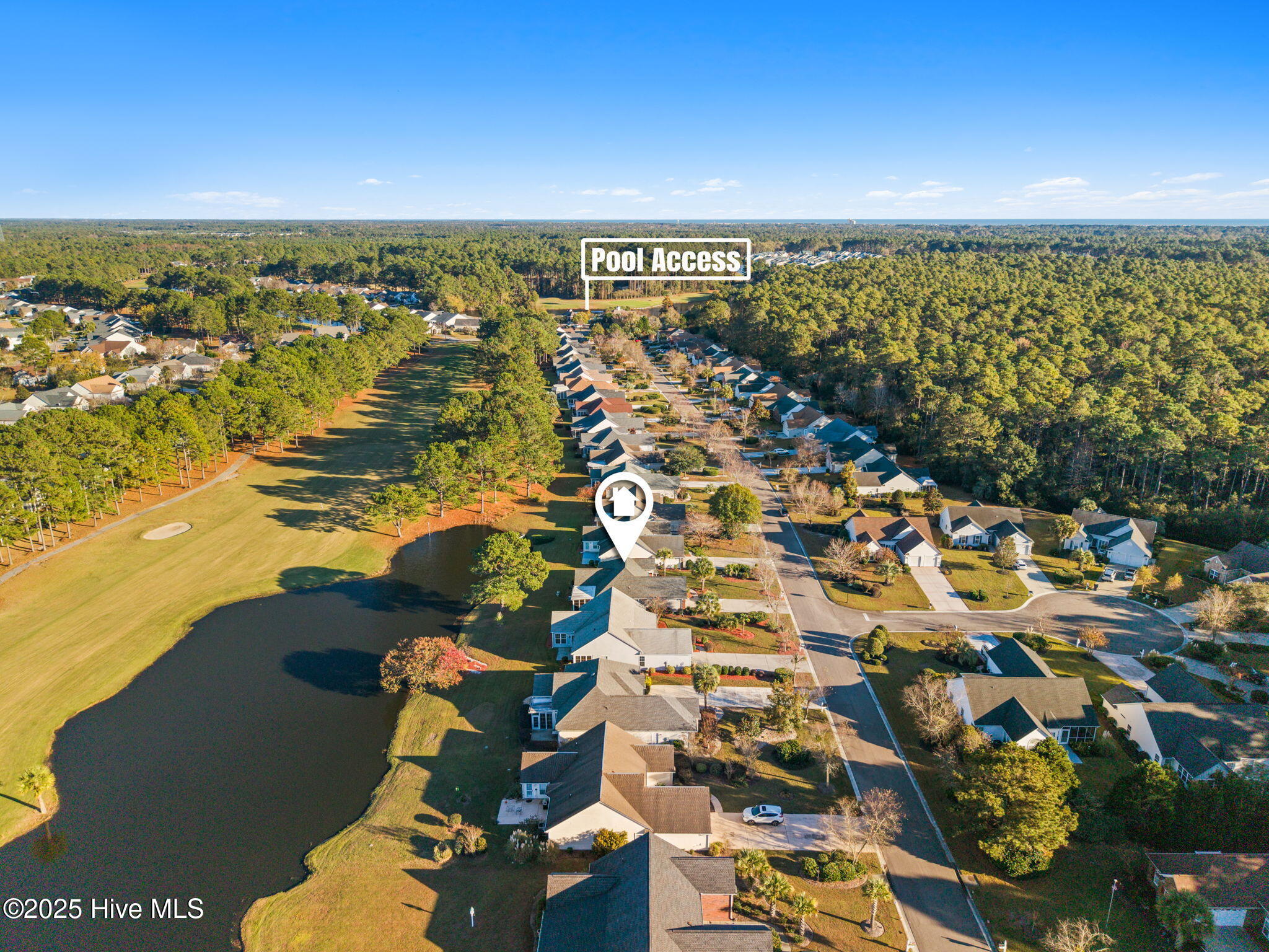 100543261 | Photo 32