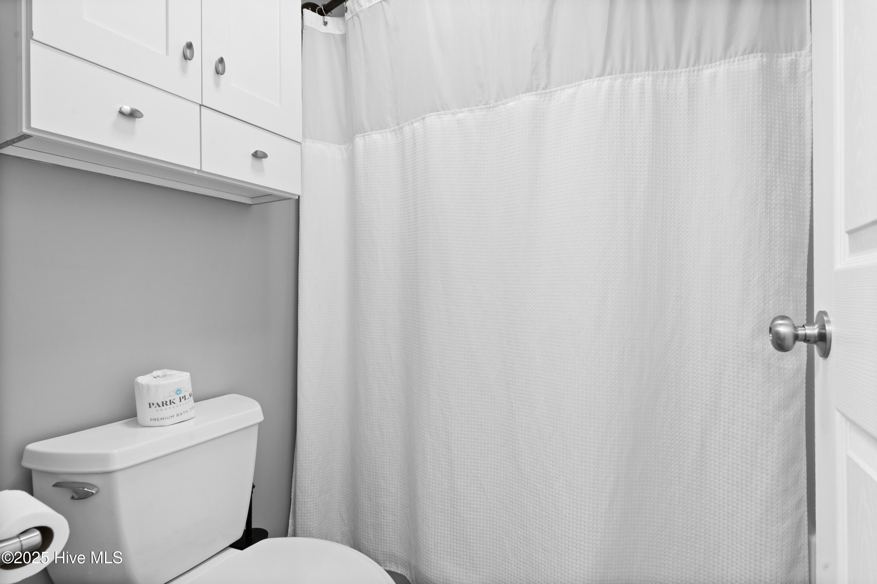 100523244 | Photo 17