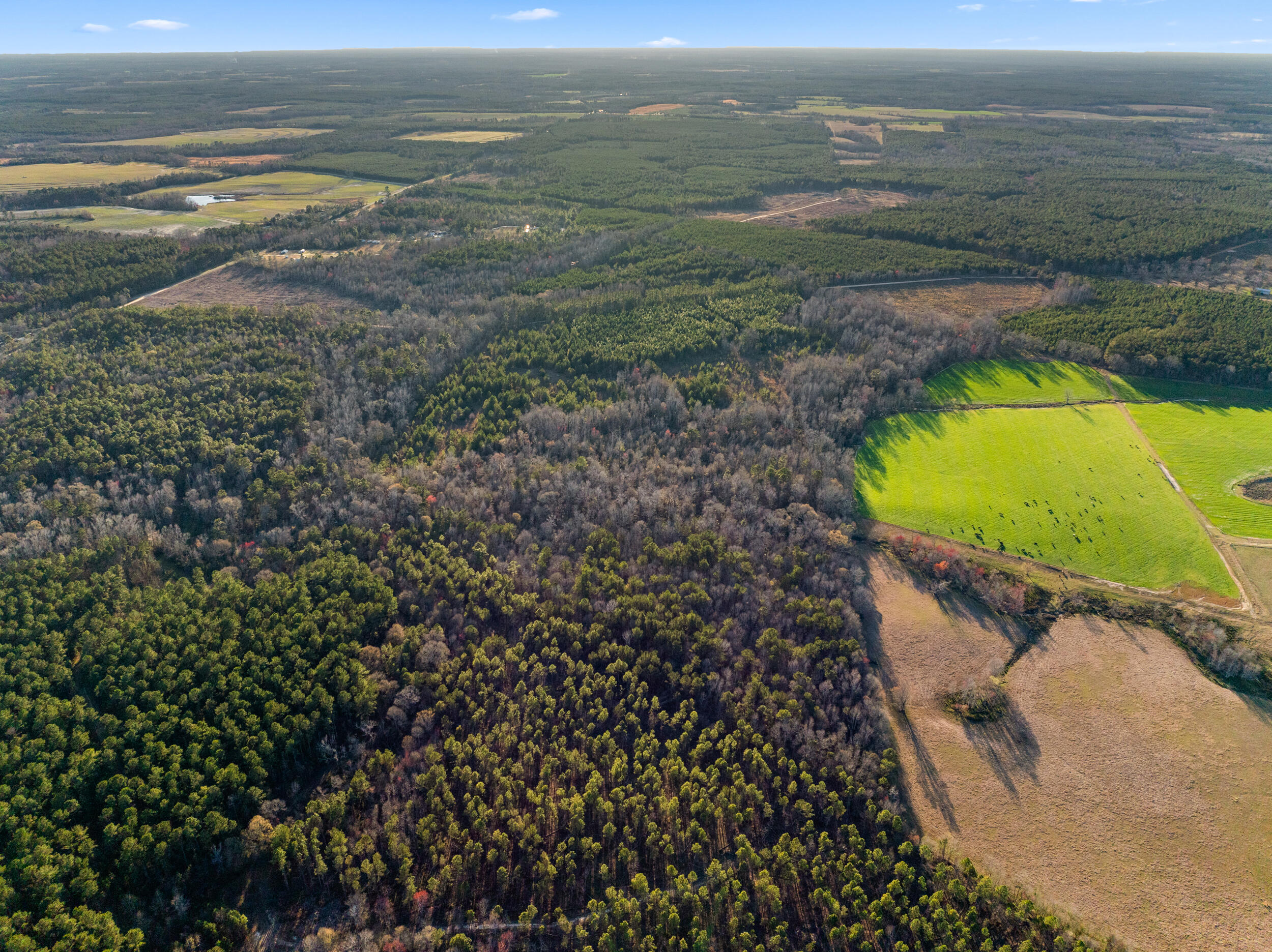 Homes for sale in Millen, GA | 0 Thomas Rd, Millen, GA 30442 | MLS# 549544