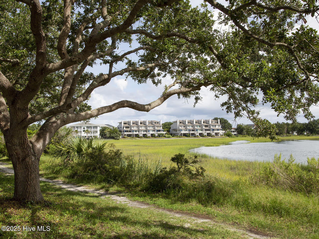 100529363 | Photo 46