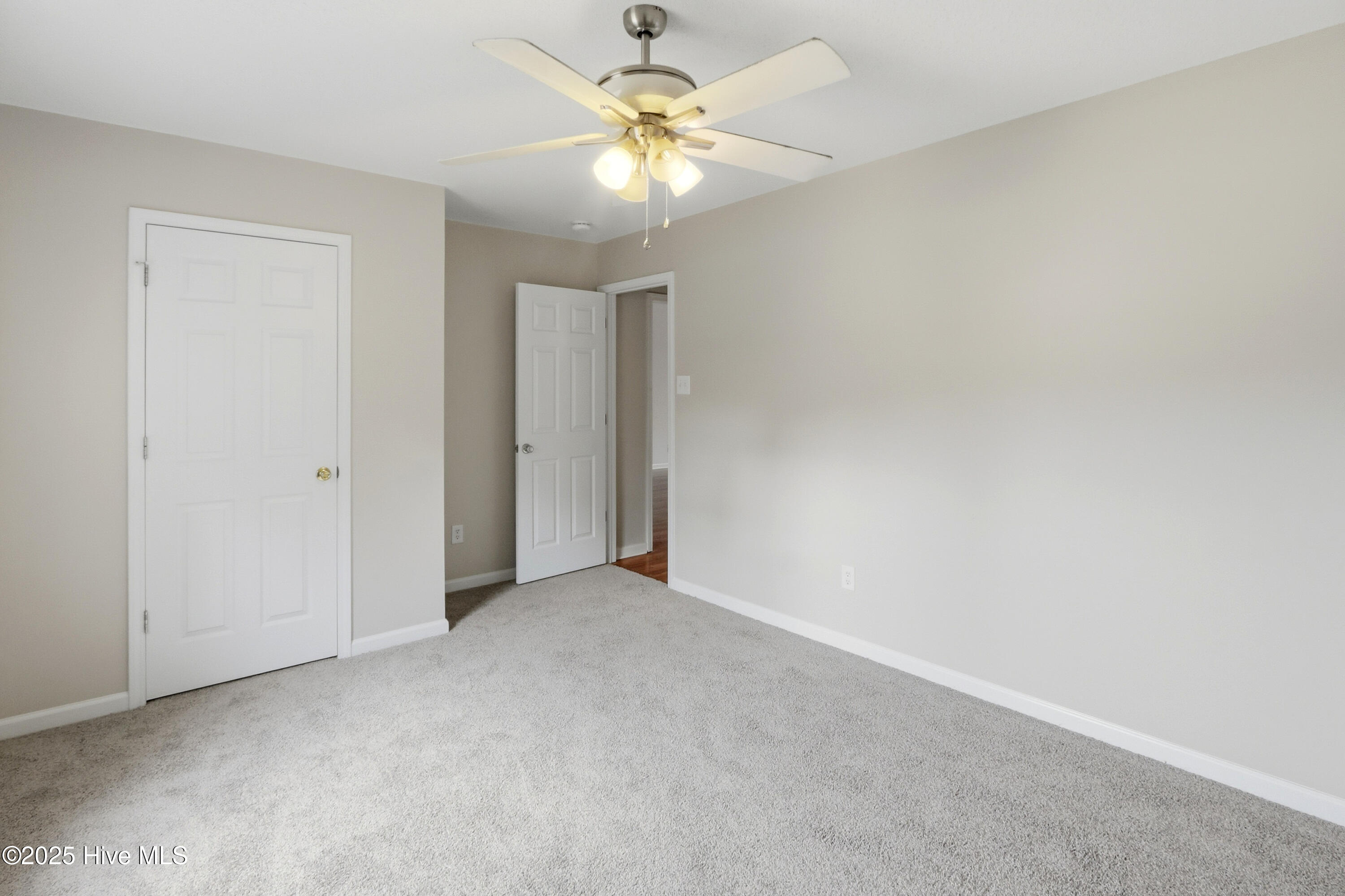 100531186 | Photo 29