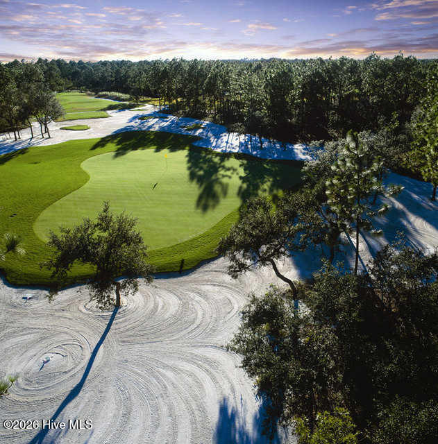 100563652 | Photo 23