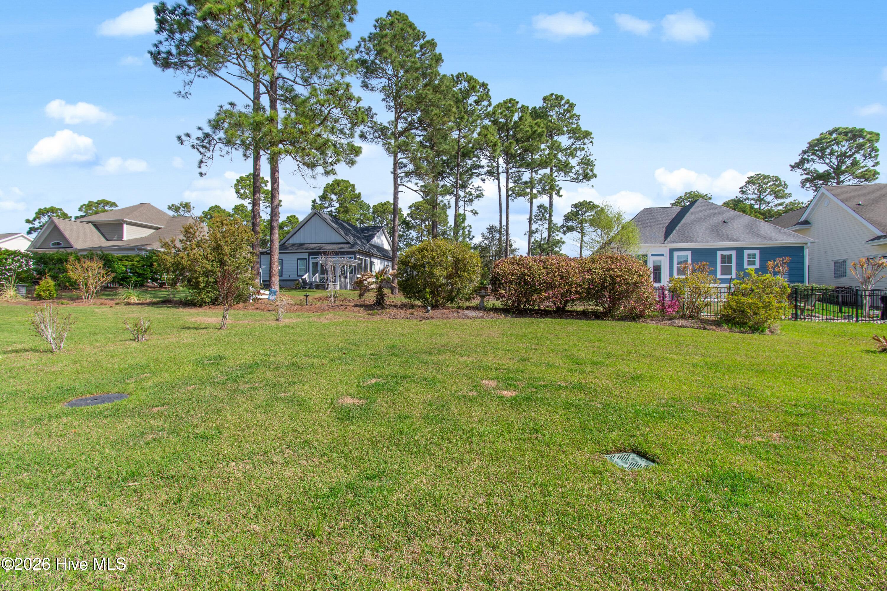 100563777 | Photo 52