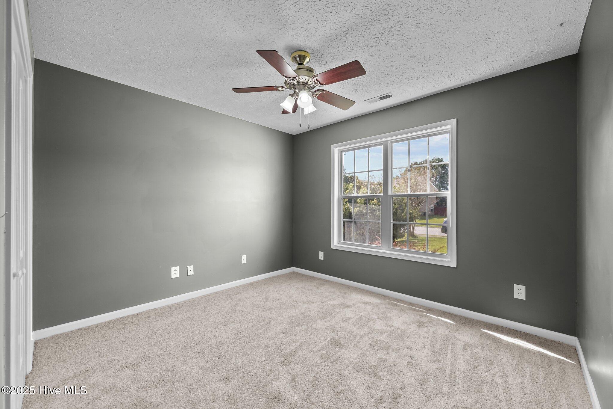 100545668 | Photo 14