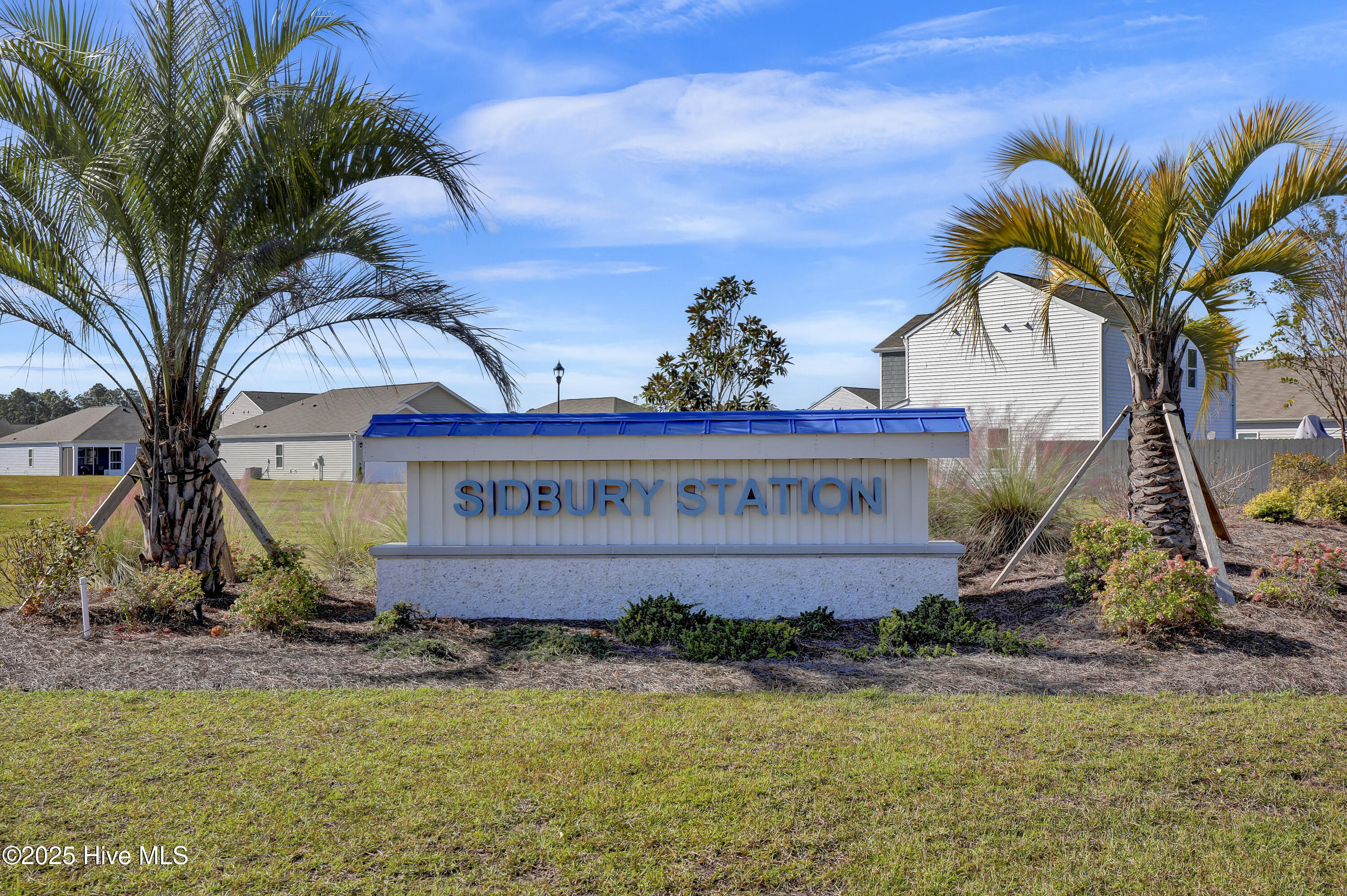 100536874 | Photo 24