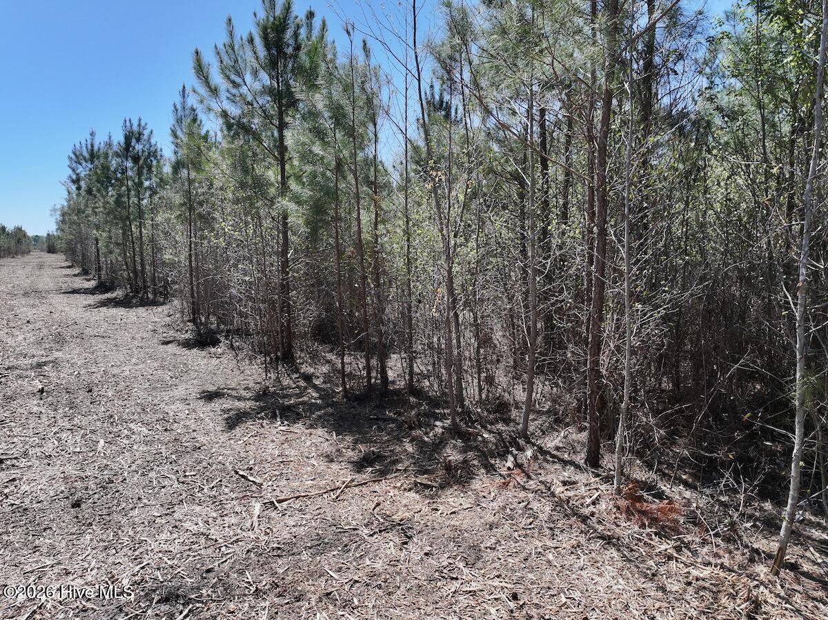 0 Guinea Mill Road, Ernul, NC, 28527