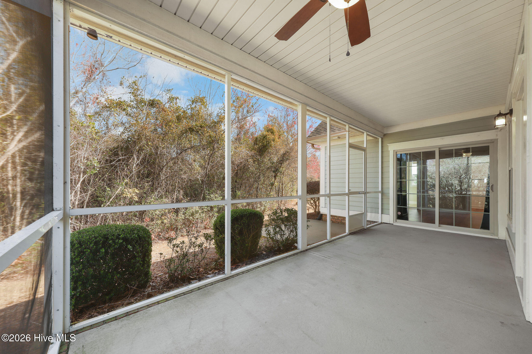 100565690 | Photo 42