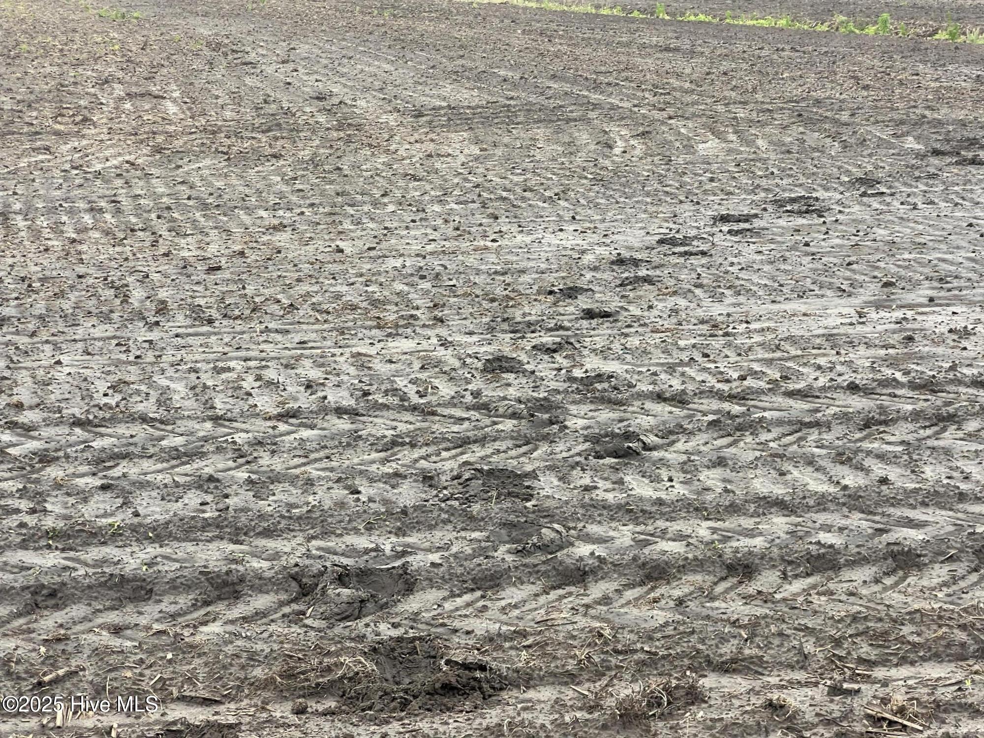 Homes for sale in Aurora, NC | 0 Sr 1918 Rd, Aurora, NC 27806 | MLS# 100507331