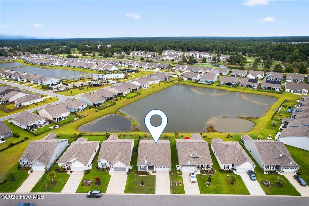 100522416 | Photo 65