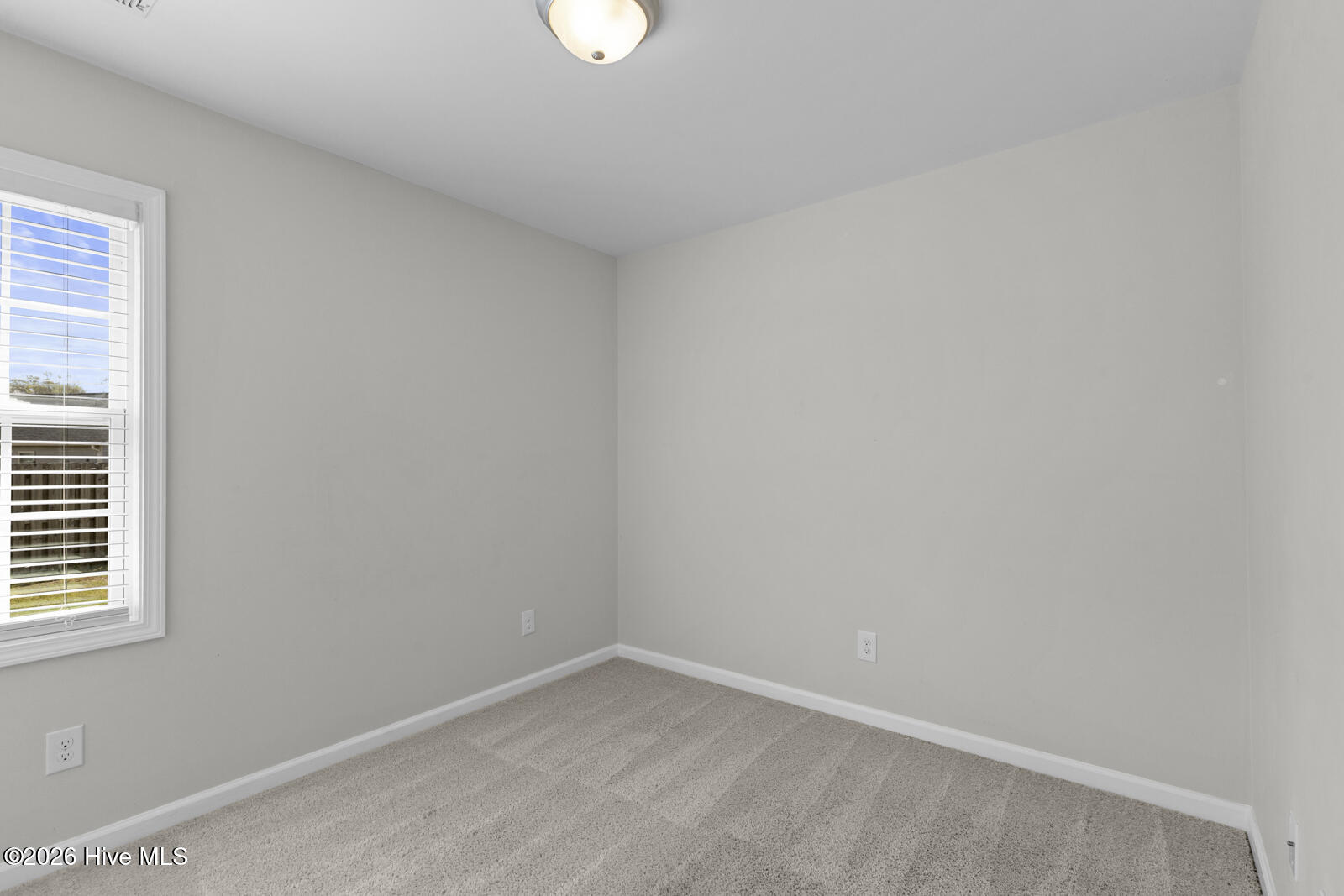 100563691 | Photo 18