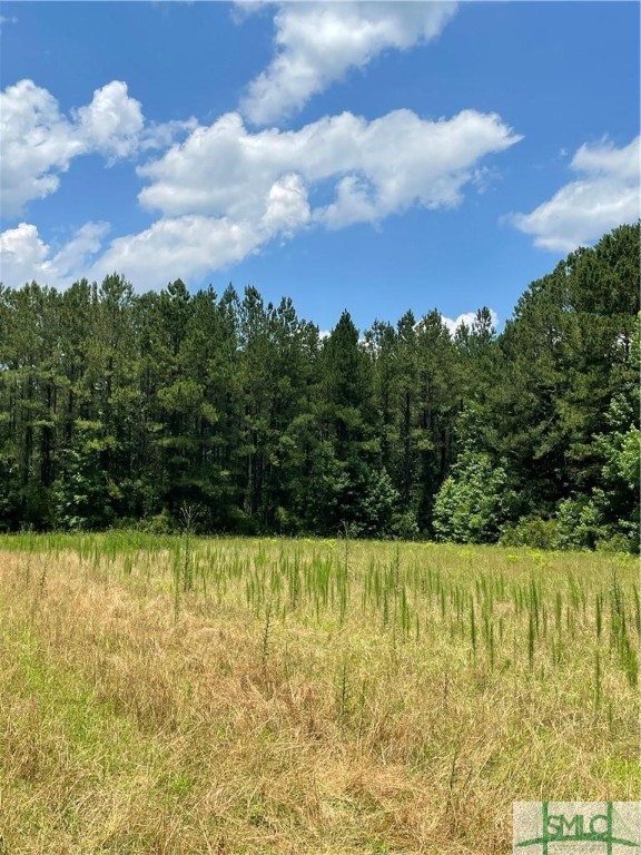 0 RAHN STATION Road, Springfield, GA, 31329