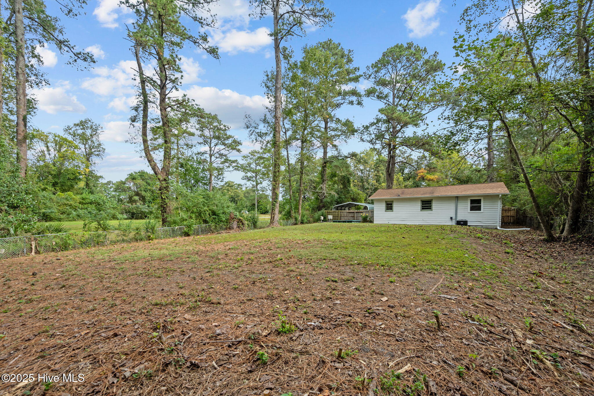 100536002 | Photo 44