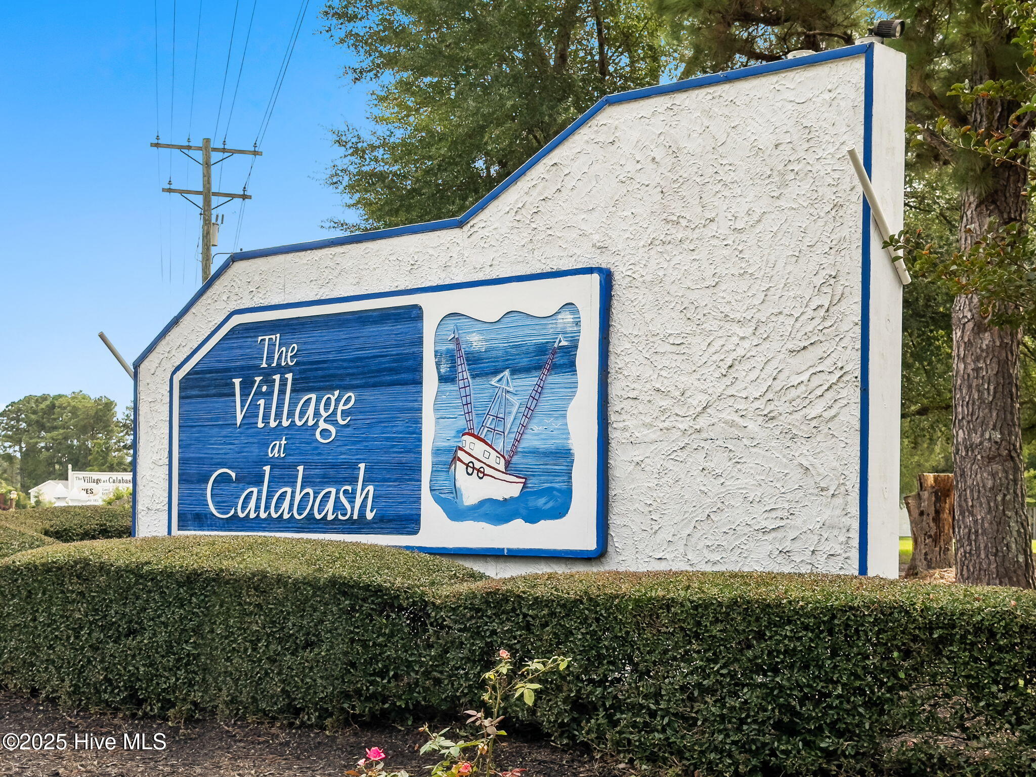 100527656 | Photo 44