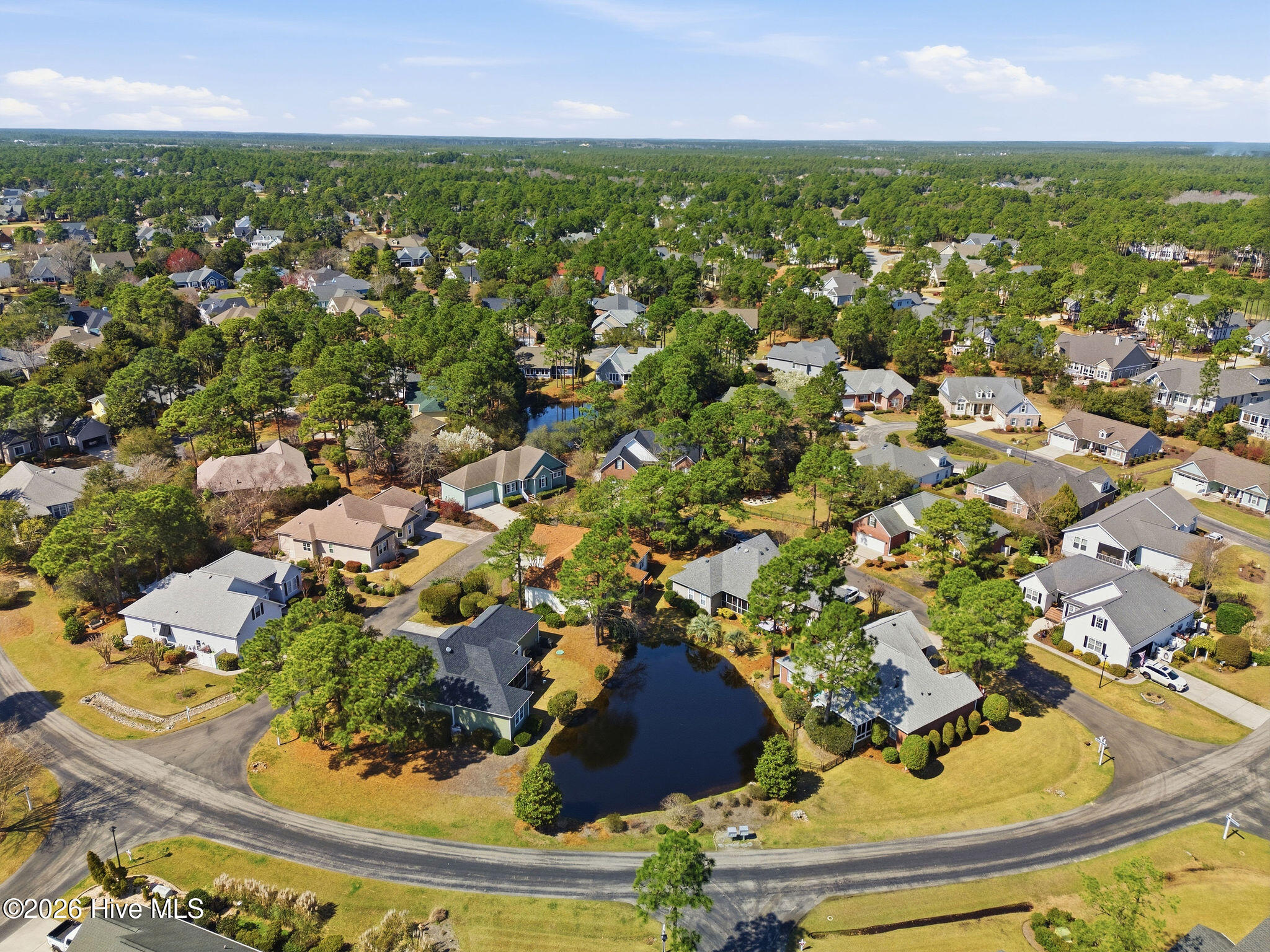 100560993 | Photo 48