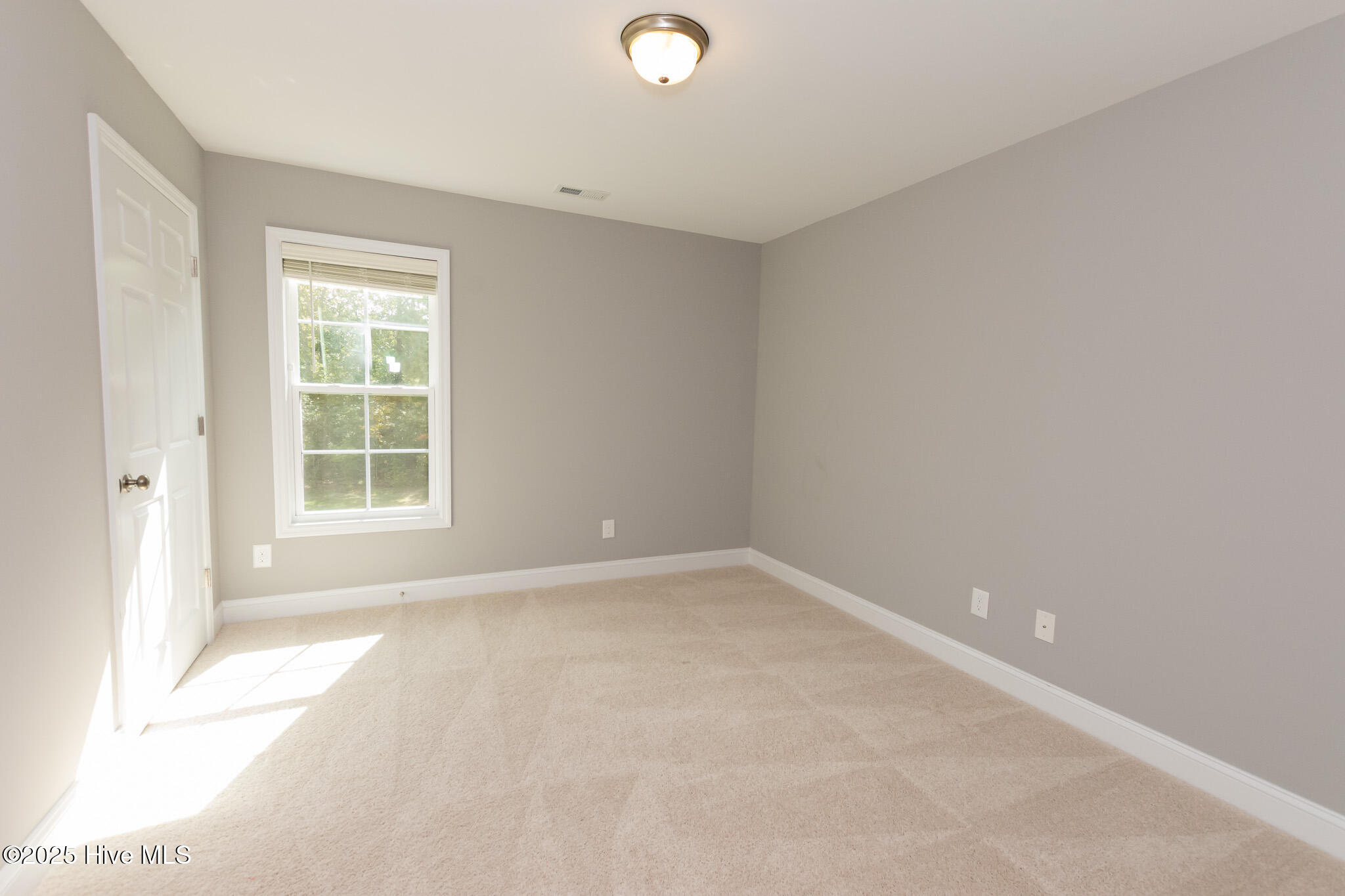 100531968 | Photo 38