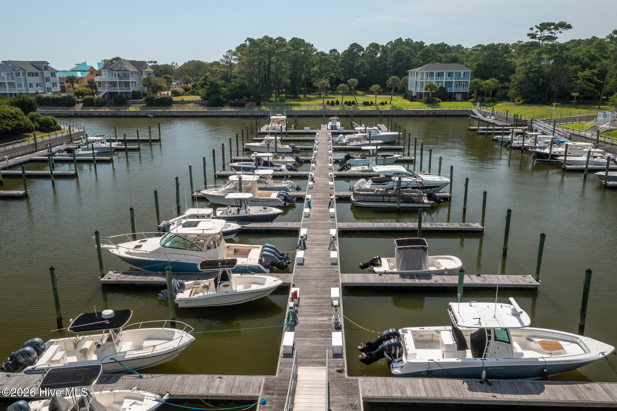 100559457 | Photo 25