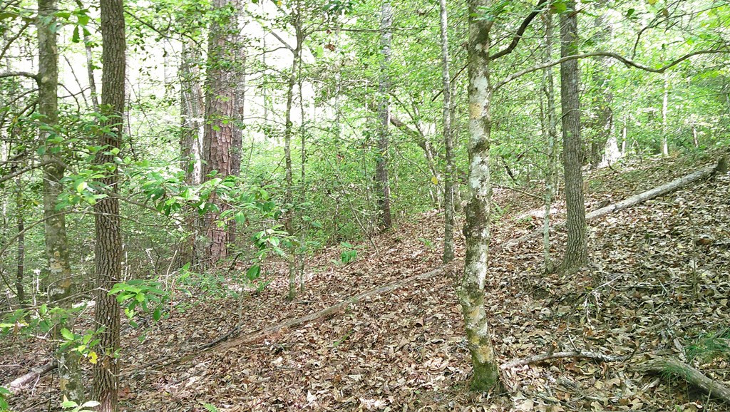 Exterior photo of 00 Mcdonald Road, Murphy, NC 28906. MLS: 98544501