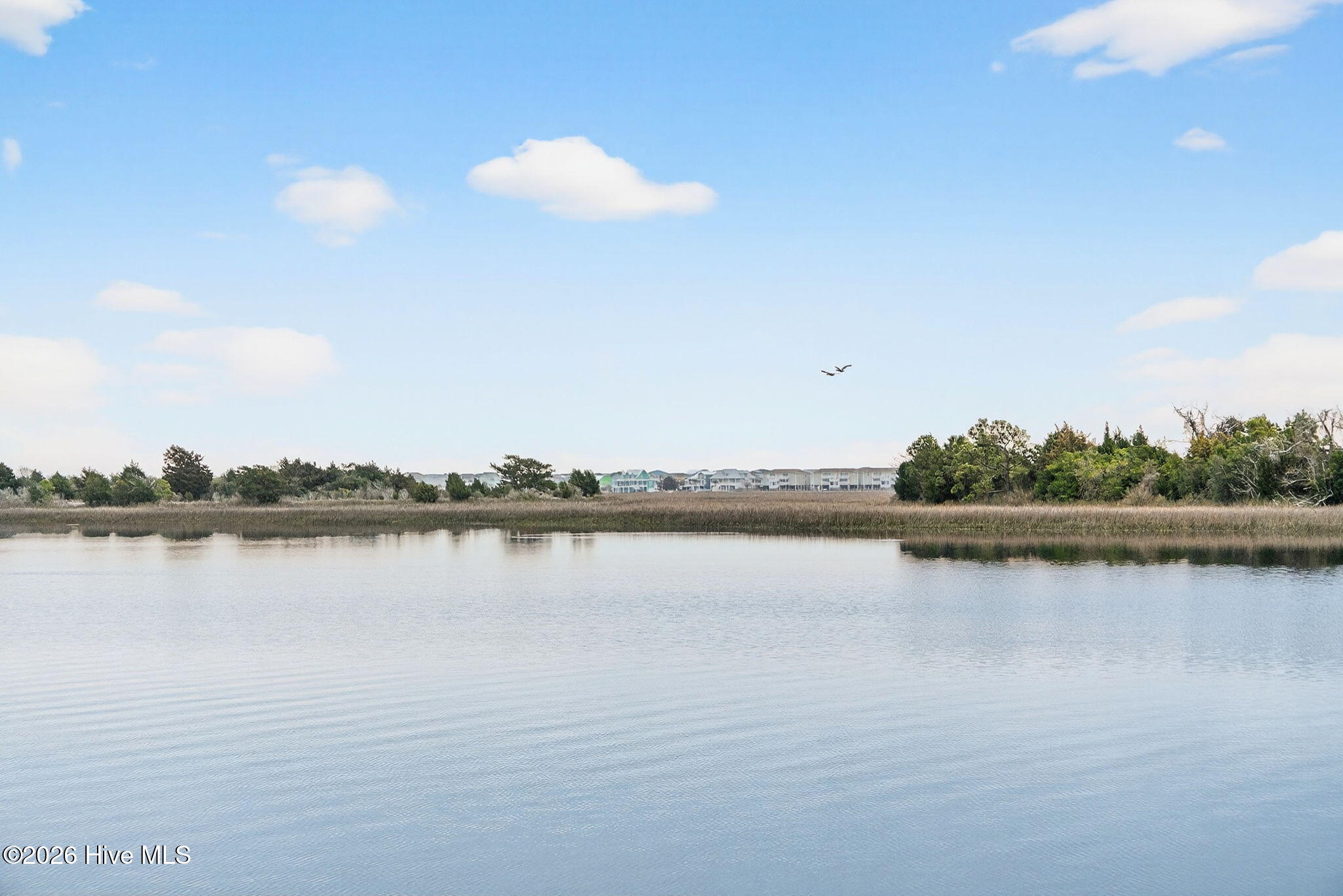 100559541 | Photo 12