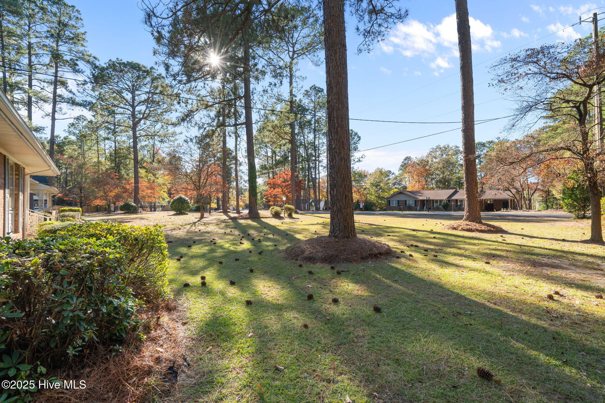 46-web-or-mls-DSC06905