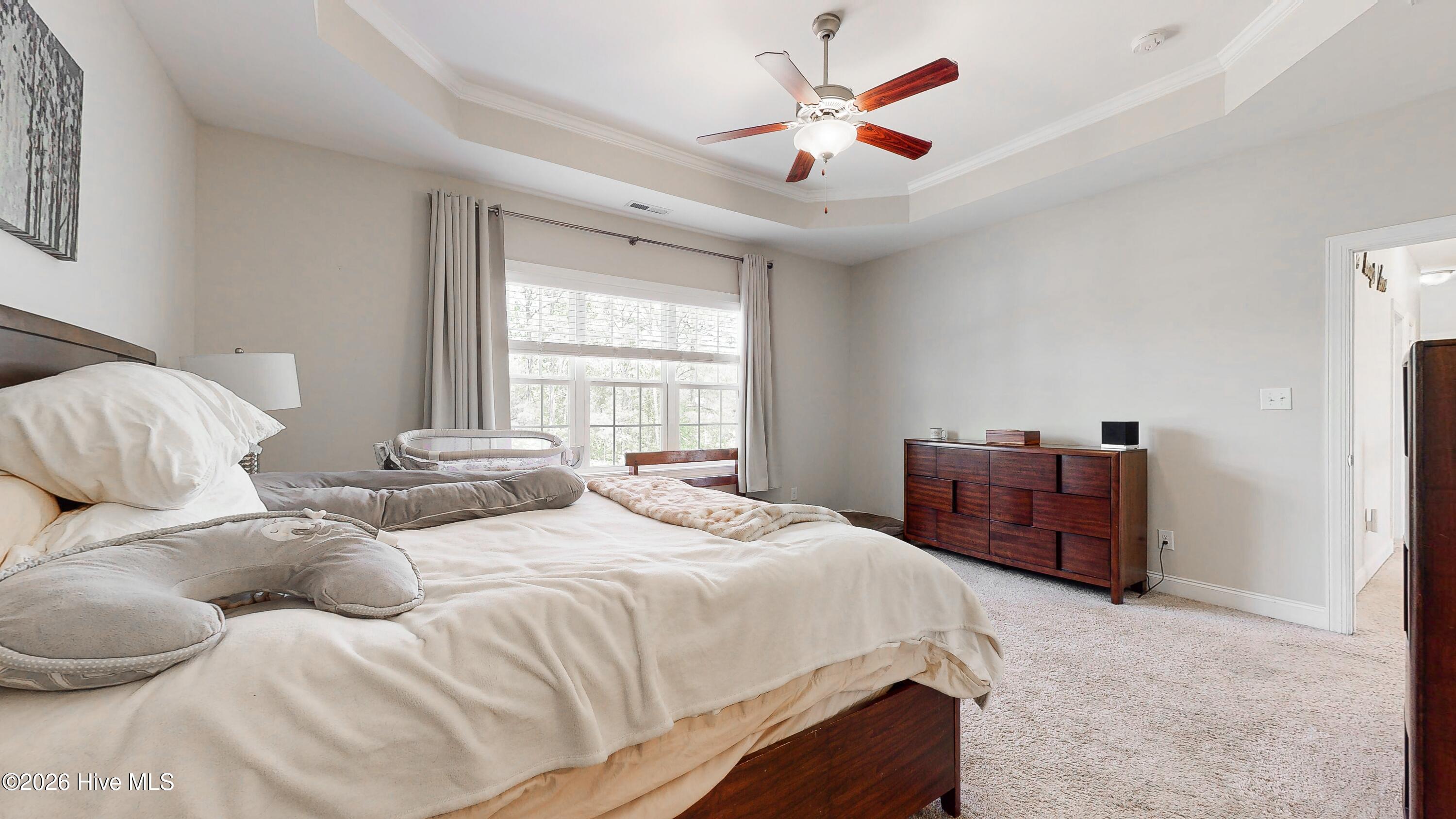 100570158 | Photo 26