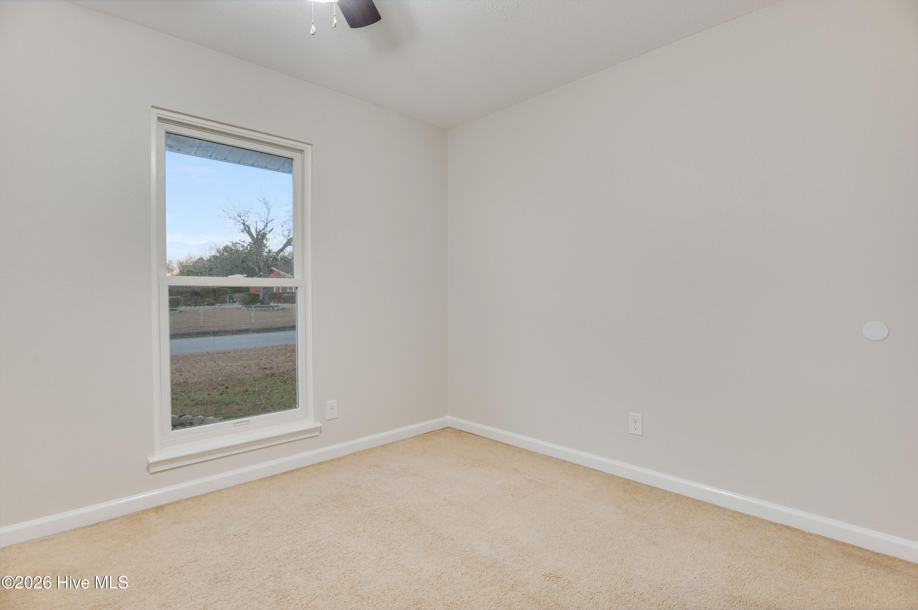 100547210 | Photo 25