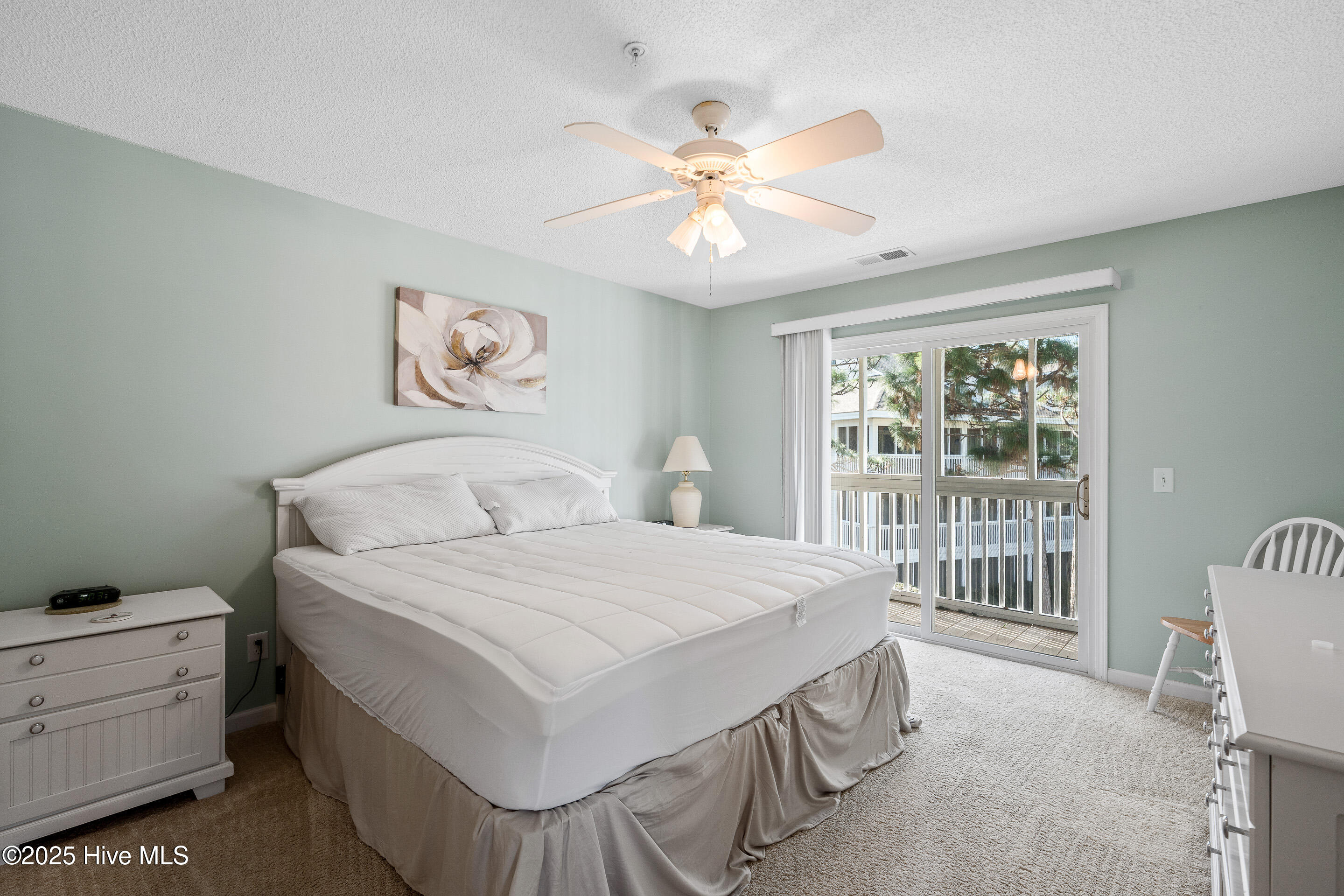 100524723 | Photo 17