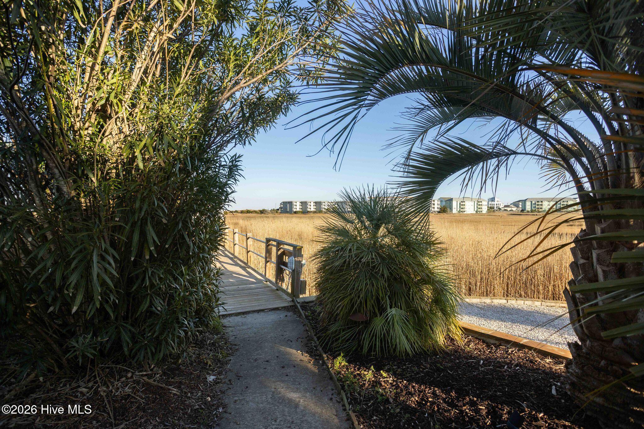 100554597 | Photo 59