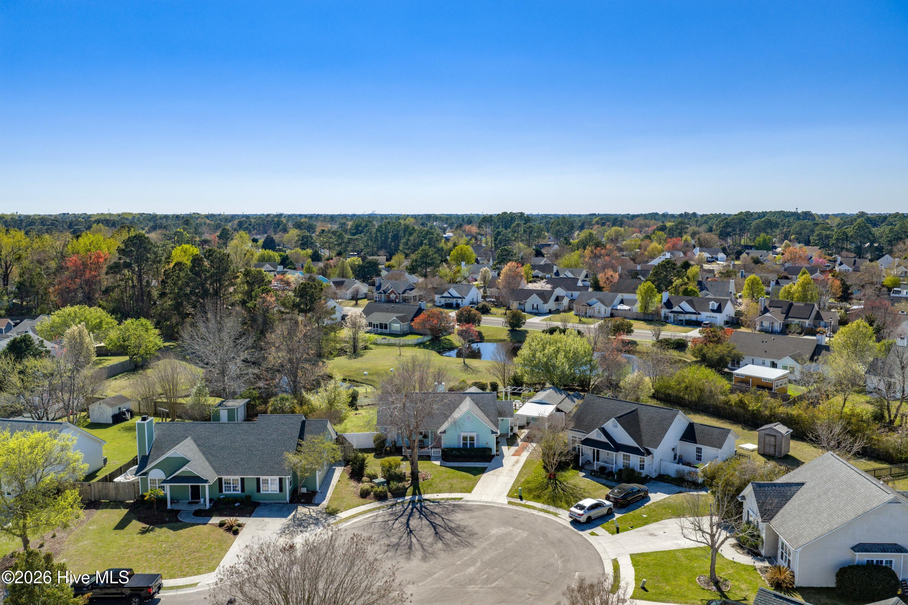 100562291 | Photo 30