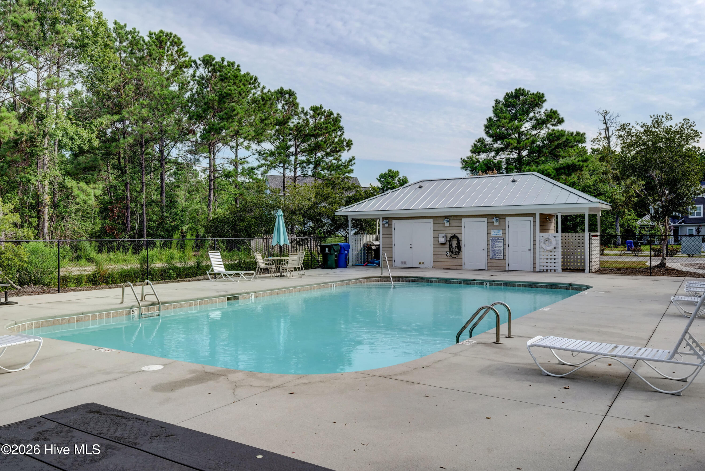 100563138 | Photo 30