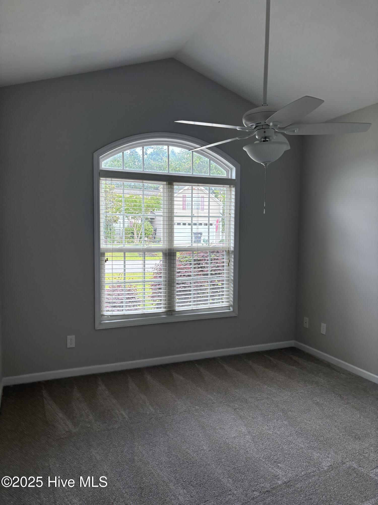 100560498 | Photo 19