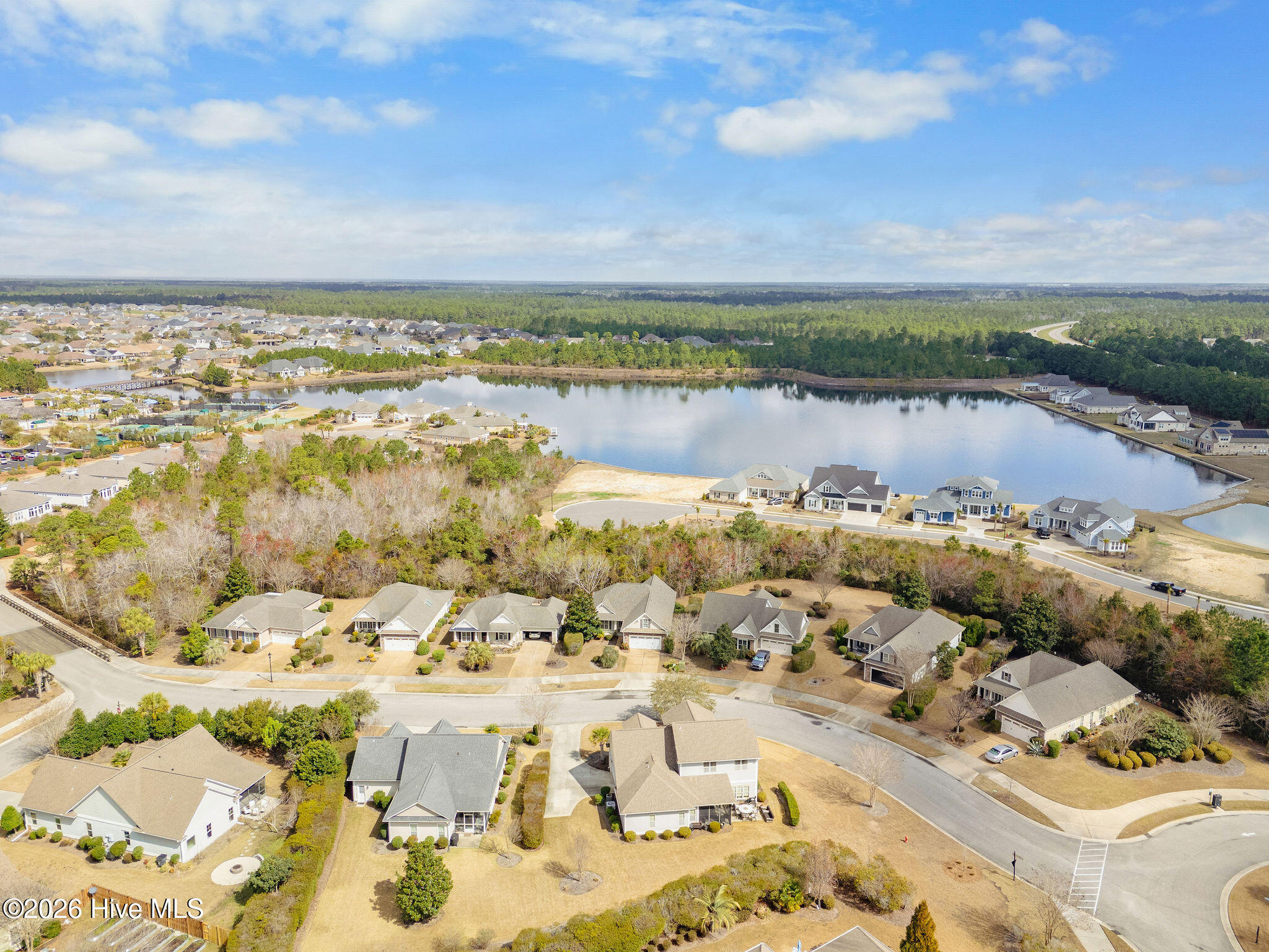 100565690 | Photo 58