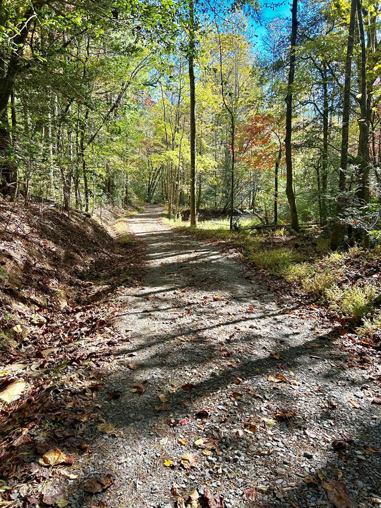 Exterior photo of Lot 6 Beaverdam Loop, Murphy, NC 28906. MLS: 98544507