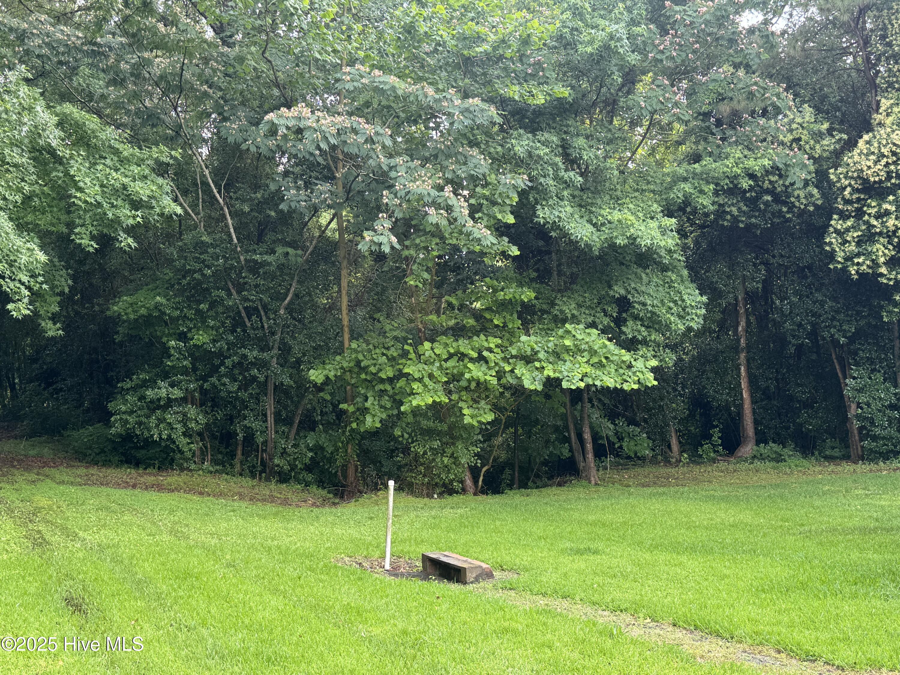 Homes for sale in Kinston, NC | 7569 Carey Rd, Kinston, NC 28504 | MLS# 100512339