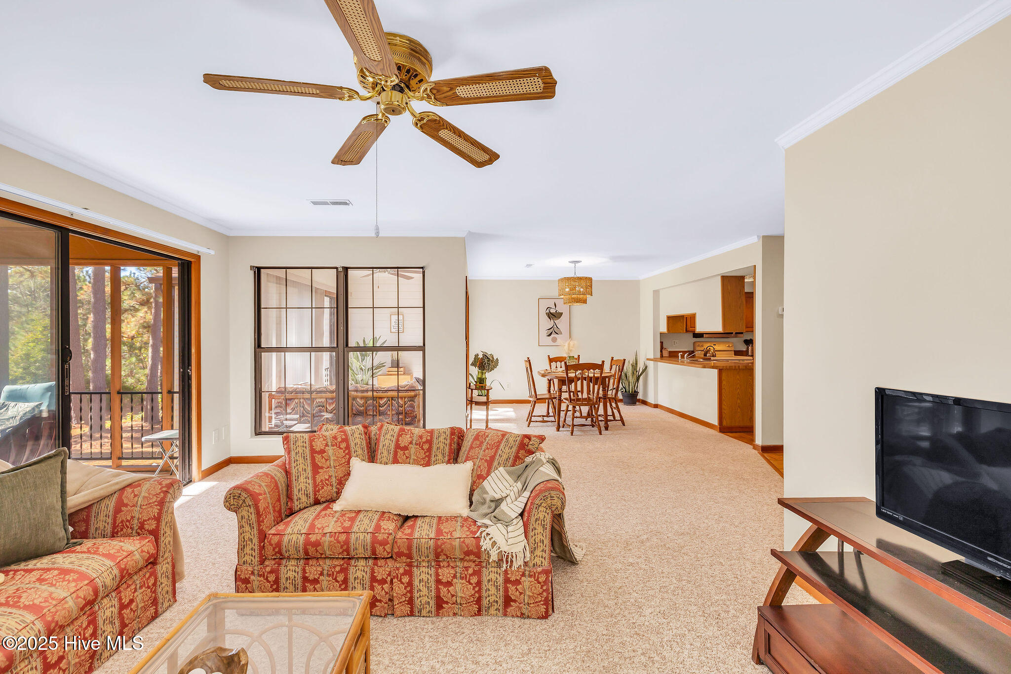 100541732 | Photo 23