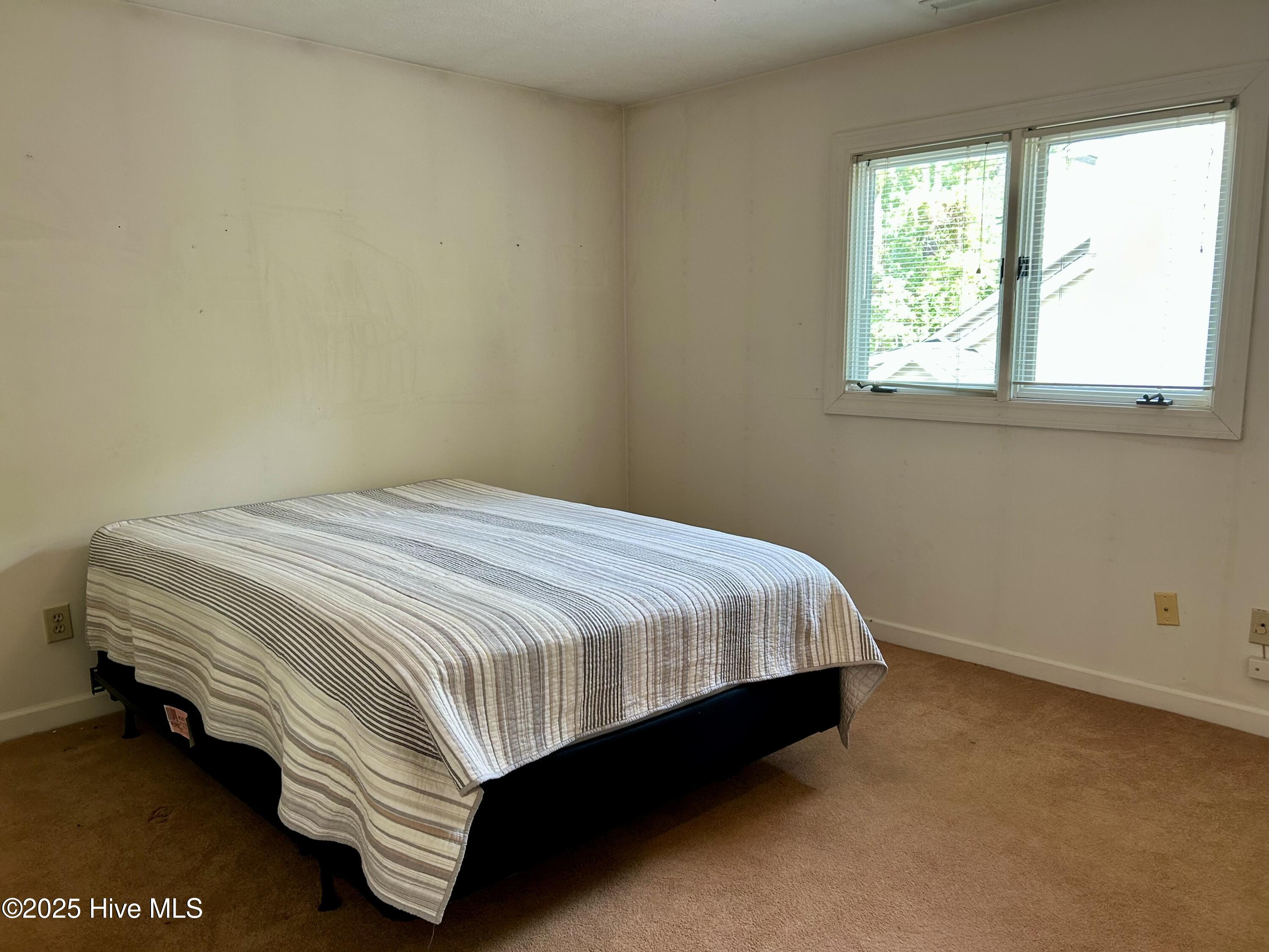 100532166 | Photo 26