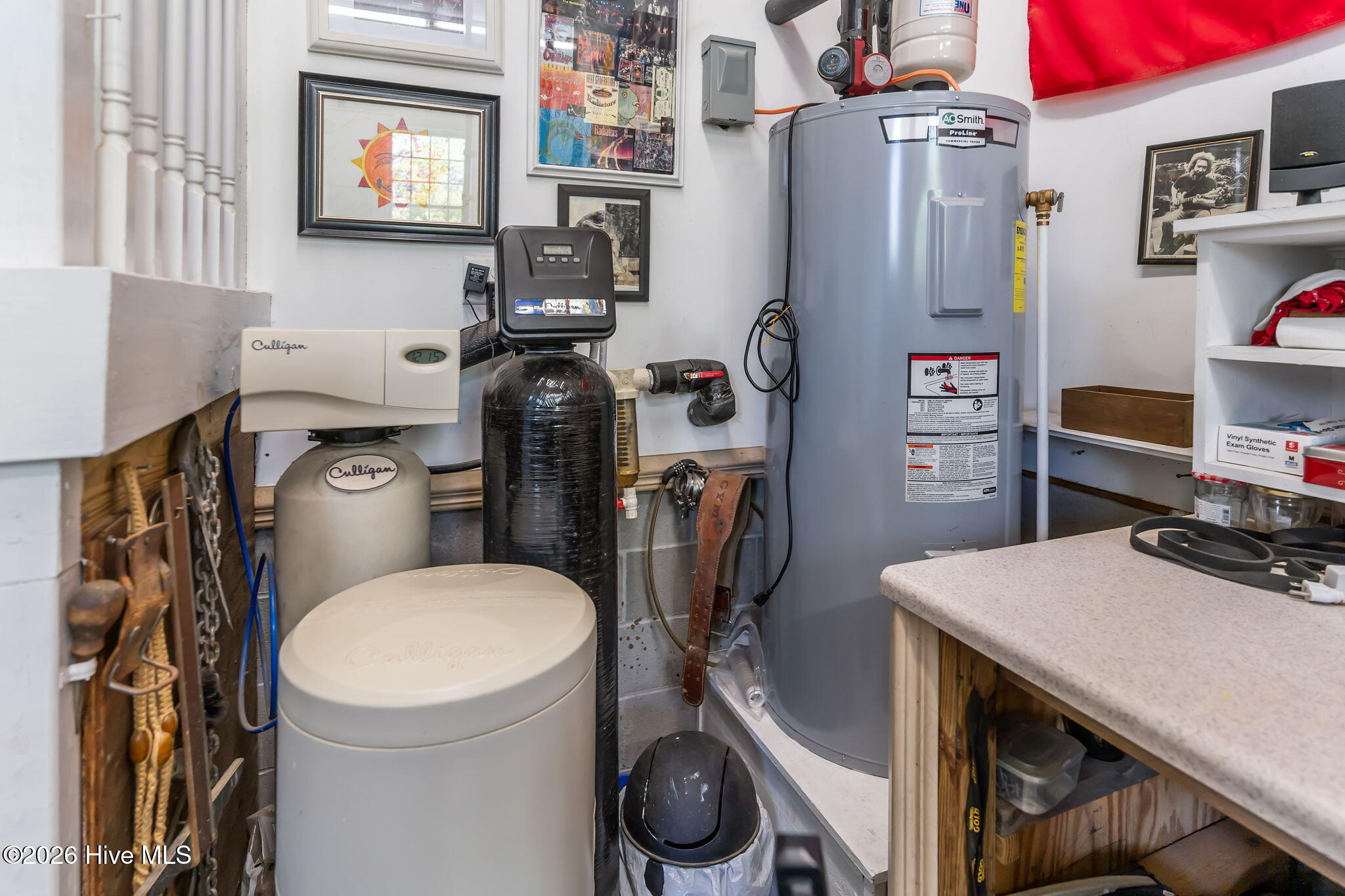 100562124 | Photo 38