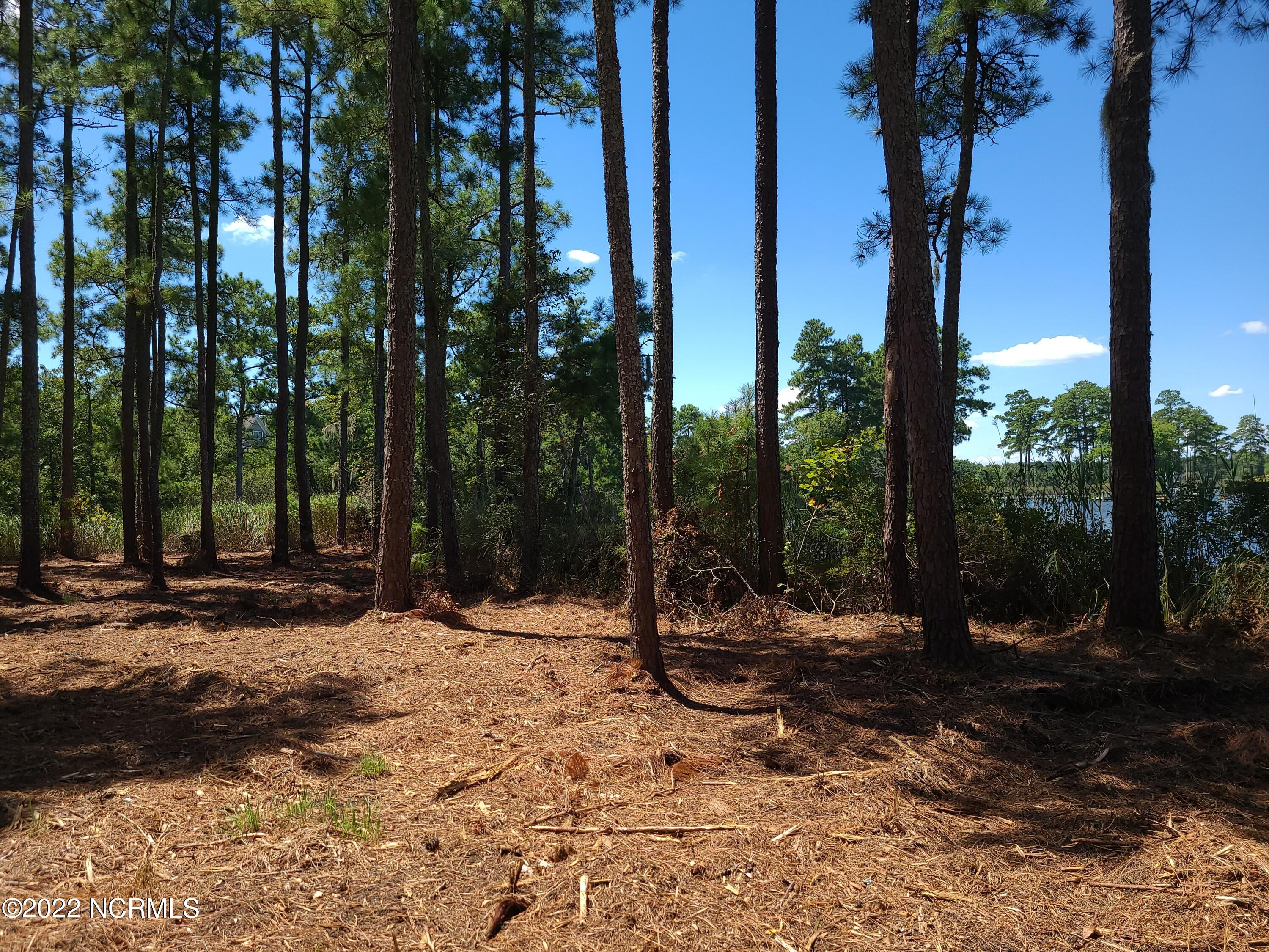 6 Ashton Drive, Bath, NC, 27808