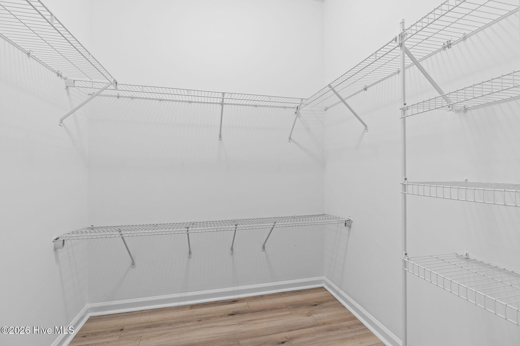 100555628 | Photo 20