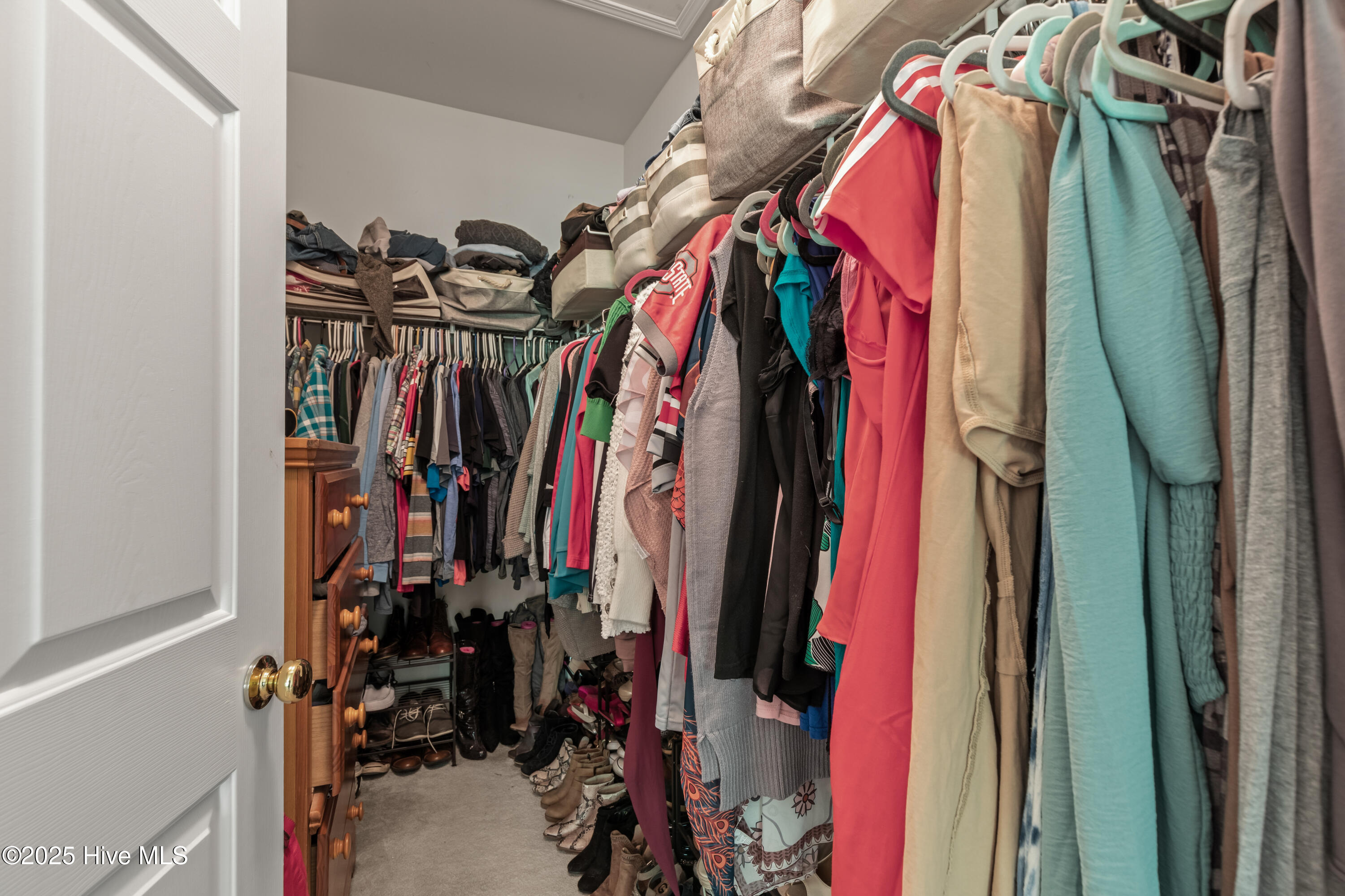 100502471 | Photo 37