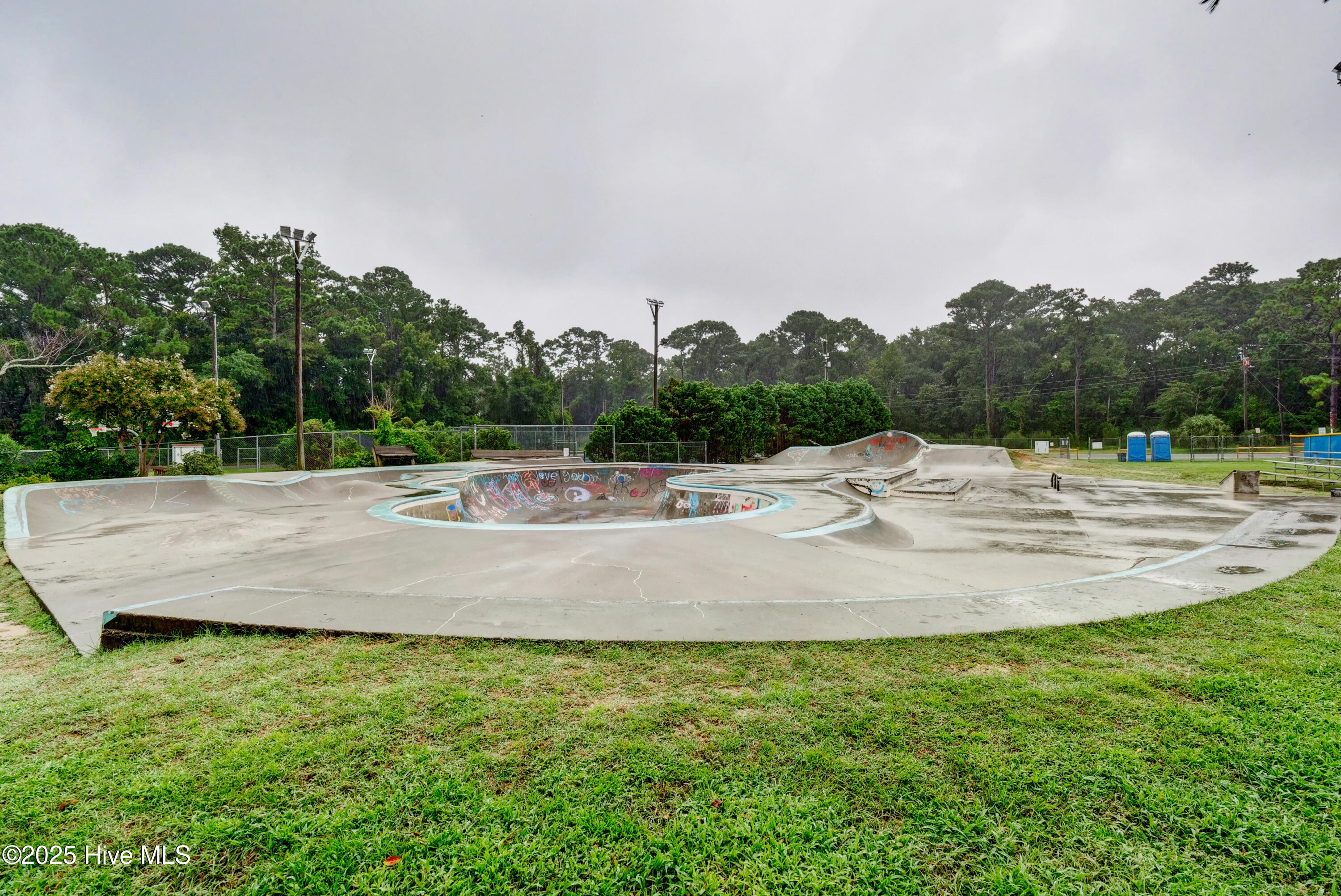 100545866 | Photo 50